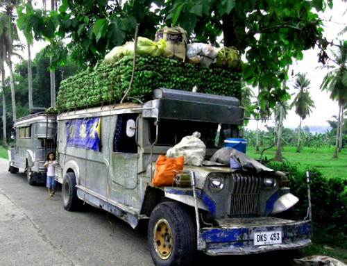 Bananas Transport